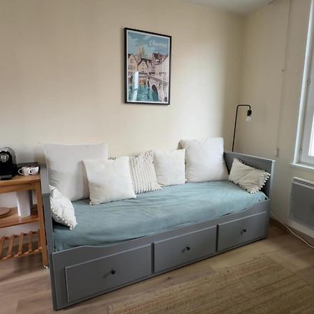 Appartement Bords De L'Eure Charmant Studio شارتر المظهر الخارجي الصورة